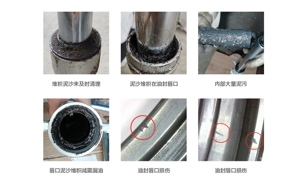 16003151062084480DZR.jpg 05.jpg